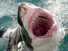 ������� ����� �����