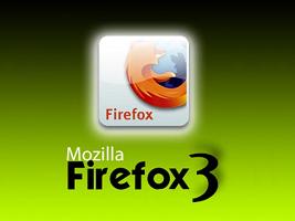  Firefox 3    17 