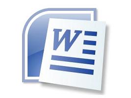 Microsoft   Word