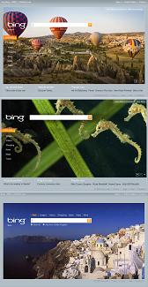 Каждый день у Microsoft Bing новая тема главной страницы