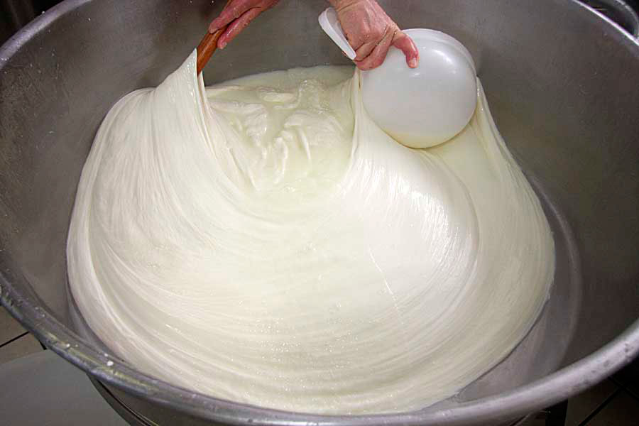 Производство итальянского сыра Моцарелла в сыроварне