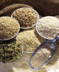 Разные сорта и формы риса